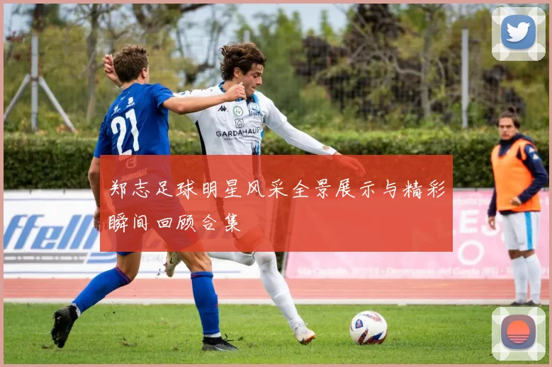 郑志足球明星风采全景展示与精彩瞬间回顾合集