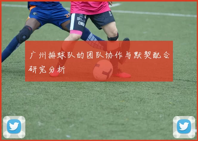 广州排球队的团队协作与默契配合研究分析