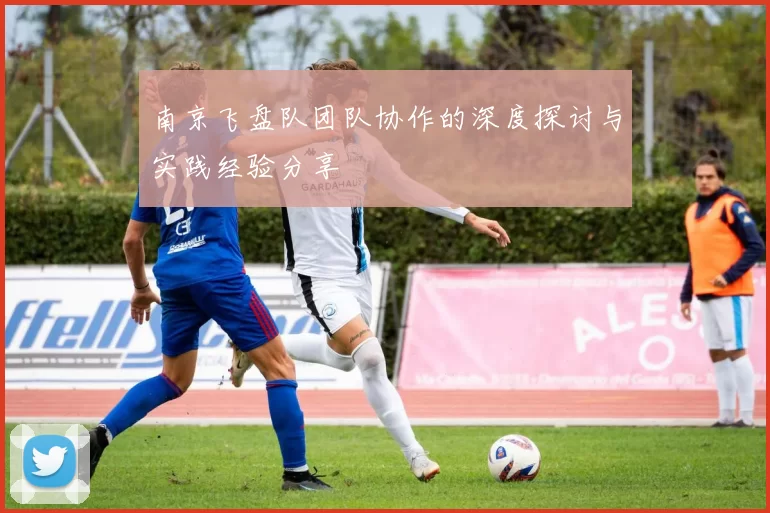 南京飞盘队团队协作的深度探讨与实践经验分享
