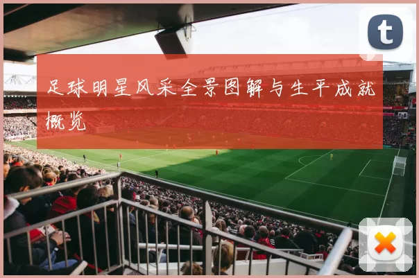足球明星风采全景图解与生平成就概览
