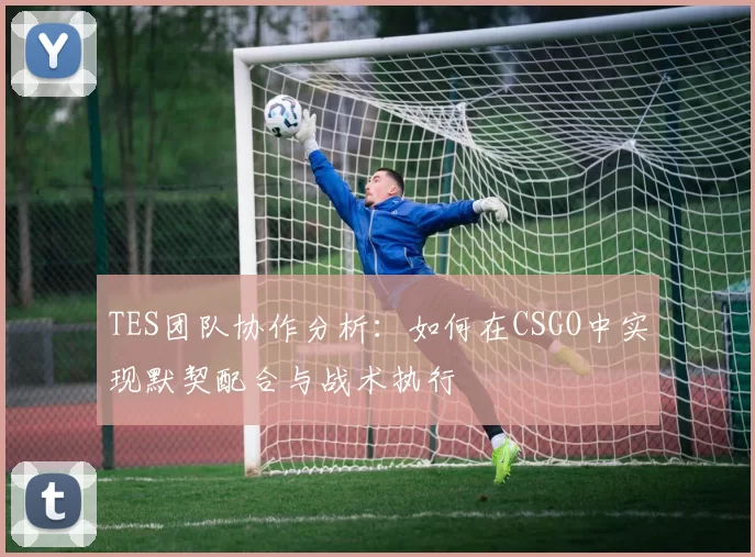TES团队协作分析：如何在CSGO中实现默契配合与战术执行