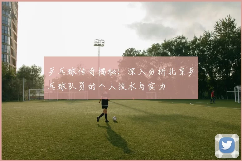 乒乓球传奇揭秘：深入分析北京乒乓球队员的个人技术与实力