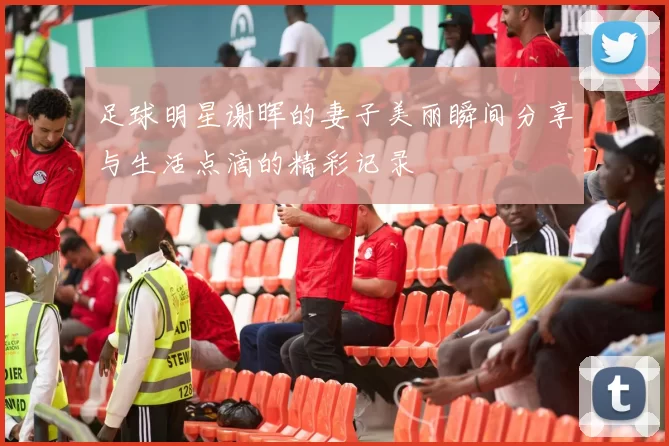 足球明星谢晖的妻子美丽瞬间分享与生活点滴的精彩记录