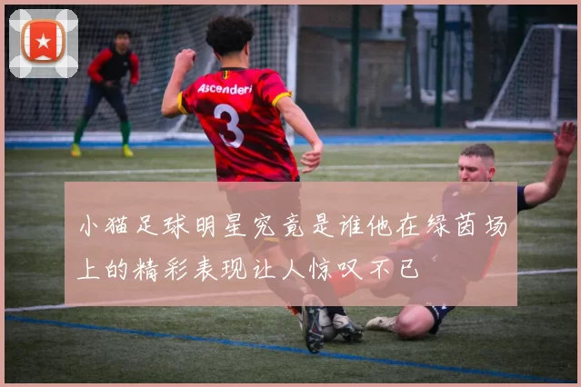 小猫足球明星究竟是谁他在绿茵场上的精彩表现让人惊叹不已