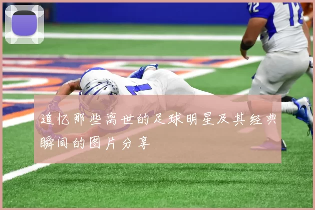 追忆那些离世的足球明星及其经典瞬间的图片分享