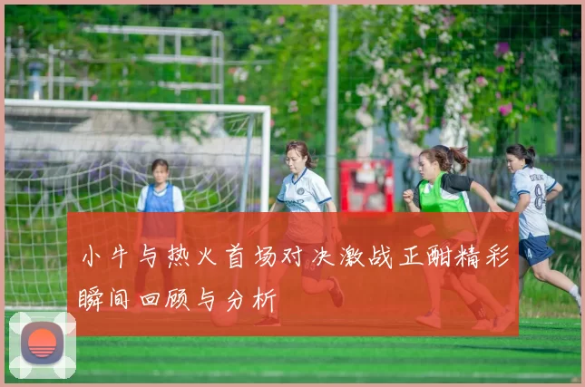 小牛与热火首场对决激战正酣精彩瞬间回顾与分析