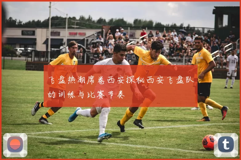 飞盘热潮席卷西安探秘西安飞盘队的训练与比赛节奏