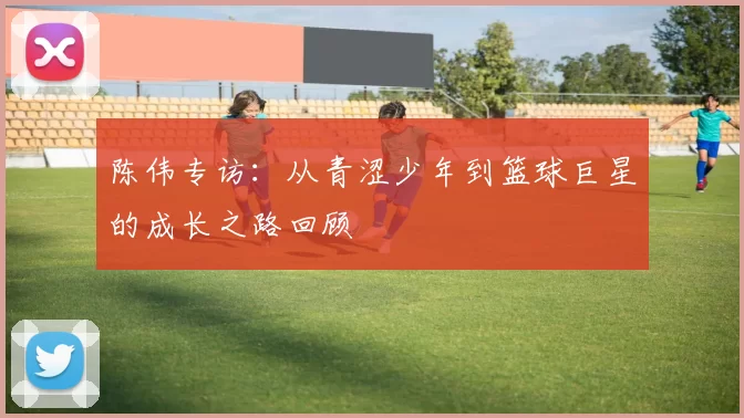 陈伟专访：从青涩少年到篮球巨星的成长之路回顾