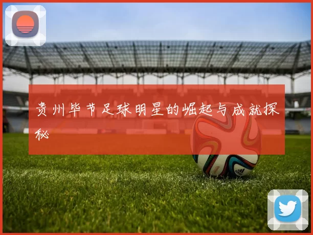 贵州毕节足球明星的崛起与成就探秘