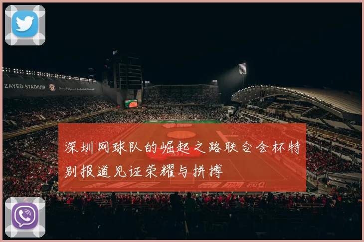 深圳网球队的崛起之路联合会杯特别报道见证荣耀与拼搏
