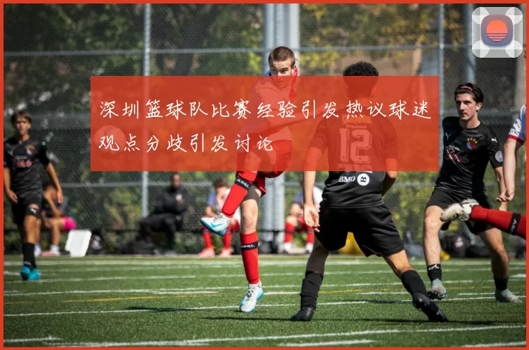 深圳篮球队比赛经验引发热议球迷观点分歧引发讨论