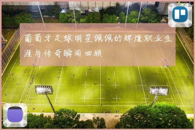葡萄牙足球明星佩佩的辉煌职业生涯与传奇瞬间回顾
