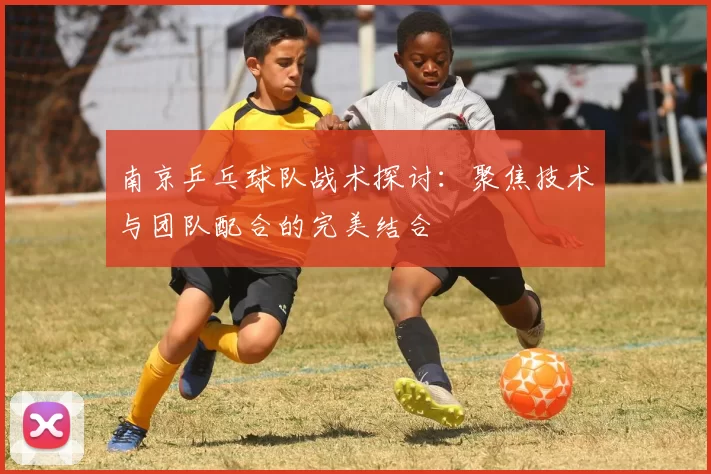 南京乒乓球队战术探讨：聚焦技术与团队配合的完美结合