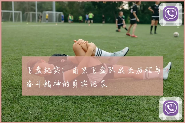 飞盘纪实：南京飞盘队成长历程与奋斗精神的真实记录