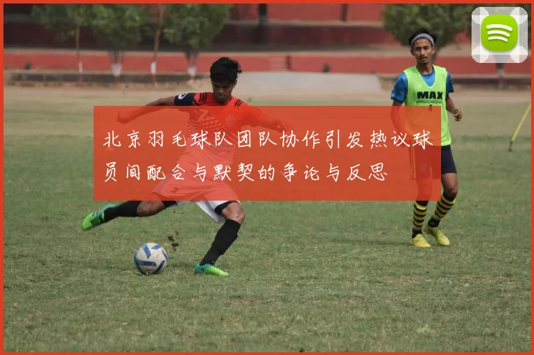 北京羽毛球队团队协作引发热议球员间配合与默契的争论与反思