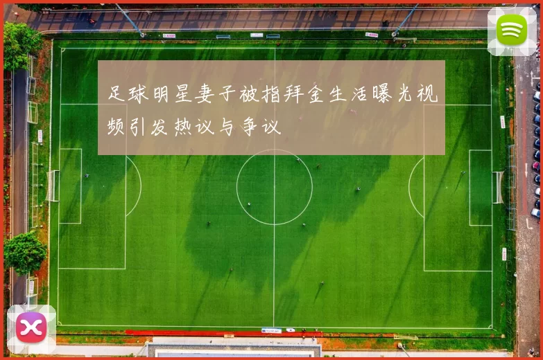 足球明星妻子被指拜金生活曝光视频引发热议与争议